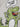 c5bf615e1736431c975d8883f179a900-Max-Origin
