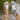c5c9becbf085458ba23e5bb5a4a1353a-Max-Origin