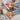 c69a6ef6-025e-449a-8bea-b2e097470068-Max-Origin
