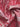 c6da936b2db848f7a42f72bd8ba69997-Max