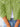 c6fa6478-7e2f-49f5-b5b0-a145c8da0b35-Max-Origin