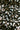 c80ea84a-ed91-4871-bd5f-1977b1257124-Max-Origin