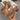 c845eca3-f9fa-4507-9e9e-264cc880cf4b-Max-Origin
