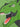 c8843b74396b434f8da3a75afe8df7c1-Max-Origin