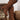 Coffee Suede Double Buckled Side Zipped Mid-calf Boots - Street Rider Apparel