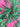 cac7ce8f-6e95-4615-9b23-569317c7cd10-Max-Origin
