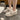 cb795c6c2b8f4933a98683510a6565fe-Max-Origin
