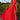 Interchangeable Satin A-Line Dress-0
