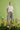 cd4e38b4-83e6-4612-80fa-64d05f8fefa4-Max-Origin