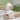 cd521d13aa504c649f710d5448159442-Max-Origin