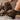 cda6d150fe644b868bee878016cce516-Max-Origin