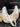 ce8382de-1d73-4892-ab0a-00552937a259-Max-Origin