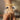 cf771138-e135-481a-bd64-c04957af25c3-Max-Origin