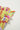 d03bf775-1e17-479f-9292-198fbd85ca36-Max-Origin