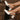 d0457d86-bbea-4fad-9117-82abf6f5a5a1-Max-Origin