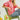 d0c992a4-5468-4edc-bc08-144fd9fdd1b6-Max