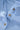 d387f466-fa93-4f0f-a949-d31558f78a7c-Max-Origin