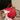 d4b55b13-e6a4-467e-97ae-c59449ad2068-Max-Origin