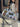 d5ba7b67-2a11-43fd-9df4-ecf618932fff-Max-Origin