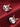 d64eee7f29d34d099db3db82922c306b-Max-Origin