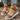 d663327b-78b5-4e90-b445-4bbdbbf39169-Max-Origin