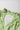 d7a62c99-b858-4b40-bd7f-3b2c77155d9e-Max-Origin