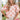 d7b4be21-9c06-4ca8-9876-b1f47b9b3aa7-Max-Origin