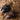 d7c63601-9081-491f-a725-8b03f73a15b9-Max-Origin