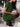 d9158864-0d7b-4847-8988-4126366dcafd-Max-Origin
