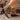 d97e9ffd71e74f1db8c88f3039f7b3de-Max-Origin