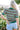 Dark Green Striped Pattern Contrast Trim Pointelle Knit T Shirt-4