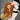 dd6857e0-659e-4608-bdef-c0ae8d3861ad-Max-Origin