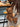 e015a3be49184e38bc15242b36a69989-Max