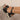 e0bfe201-3a70-4090-be0e-11d8752299f7-Max-Origin