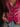 e1640b7154c0411f959d0dbce2d269dd-Max-Origin