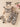 e1a3db99387a4cbf8d78a0abd77be4b0-Max-Origin