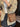 e28990ff-c92c-4985-bdd7-8284b3fd997b-Max