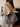 e293d3bc220842c9972c261e68713fd7-Max-Origin