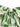 e2c0ebf2-40be-4bd4-aebb-c8864bf0e712-Max-Origin