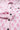 e31561ec-36a6-4229-8646-589c35a6cffb-Min