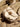 e4cd94b0e65a4185bf6a22b7cddfc8e3-Max-Origin