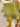 e5754e66-18f9-4b10-a895-3ef405747357-Max-Origin