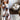 e5f6f0f9-1cdc-4799-8cd1-5d389e86b1c1-Max-Origin