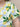 e607d3d9-ec1b-4ee6-a42b-323b91830006-Max