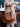 e6c9af3f17a74788b2a009516c8bf81a-Max-Origin