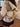 e7a0afe0-a13f-48c8-8944-d2a6720183a2-Max-Origin