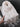e7b14d3eb7074ed1847c8b74e2bf3260-Max-Origin