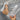 e836d35f6622460eac09b9d0ea357347-Max