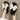 e883982c-5e77-4f37-8cec-c157454d97d4-Max-Origin
