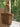 e93f5701e35345cea3242683cf4574c6-Max-Origin